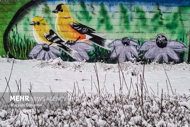 بارش برف زمستانی در بجنورد