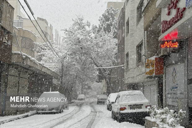 بارش برف، مه گرفتگی و آبگرفتگی معابر در میمه