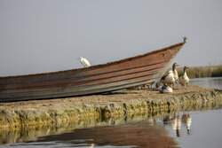 Picturesque Wetland Ponds in southwest Iran