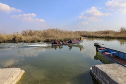 Şadgan sulak alanı