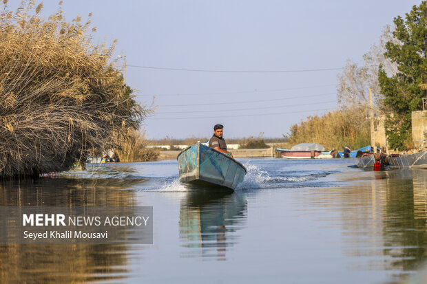 شاهراه پرندگان در مسیر نابودی/حال تالاب ها خوش نیست باور کنید