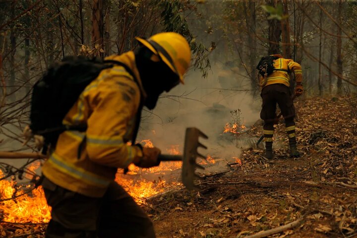 افزایش شمار قربانیان حریق جنگلی در شیلی؛ آتش‌سوزی عمدی بوده است؟