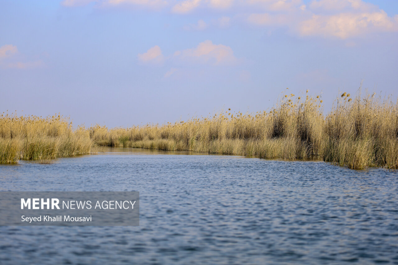 ۳تالاب آذربایجان غربی میزبان گردشگران/خاطره نوروزی دربهشت پرندگان