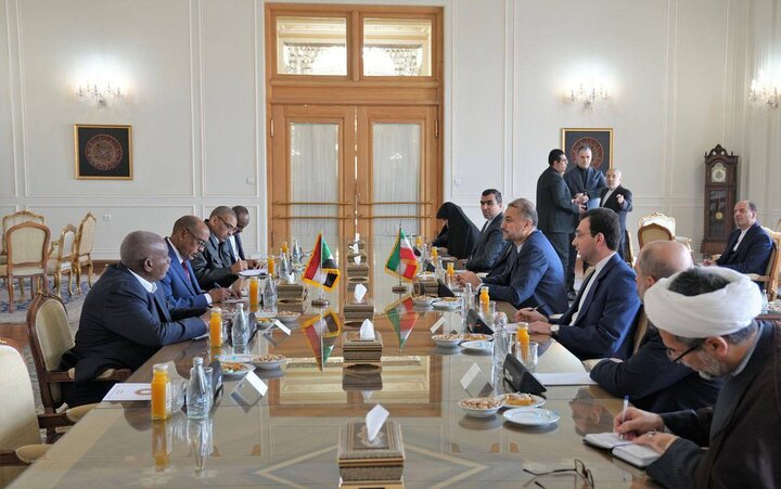 Iran, Sudan FMs express determination to promote cooperation