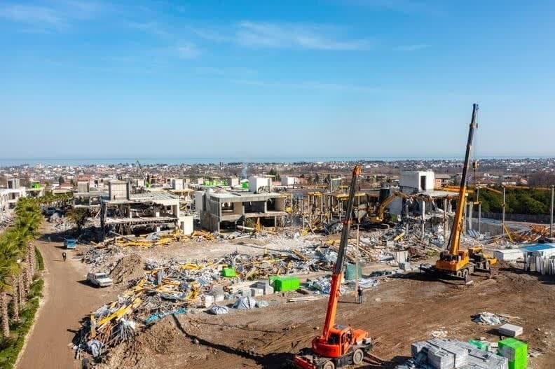 خواب و بیدار مدیریت جنگل/ شهرداران هم جنگلدار شدند!