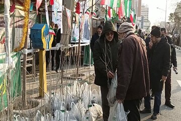 توزیع نهال رایگان در مسیر راهپیمایی ۲۲ بهمن