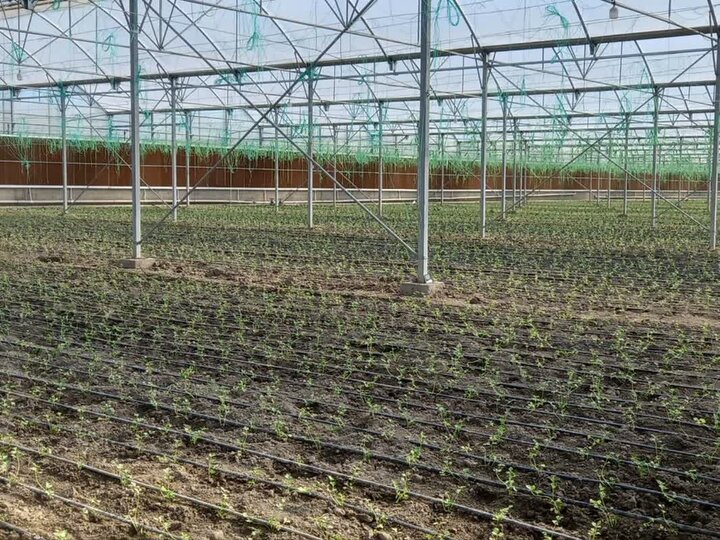 استاندار تهران جهت افتتاح پروژه های اسلامشهر به این منطقه سفر کرد