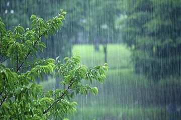 ۱۷۷ میلیمتر بارش در دشت روم ثبت شد/ بارندگی ادامه دارد