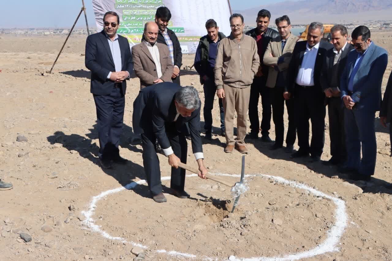 بزرگترین باغ زیتون یزد در بهاباد ایجاد میشود