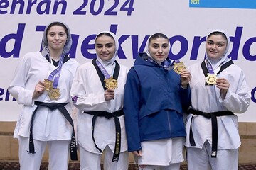 Iranian taekwondo athletes win 7 gold, 1 silver at Fajr Cup