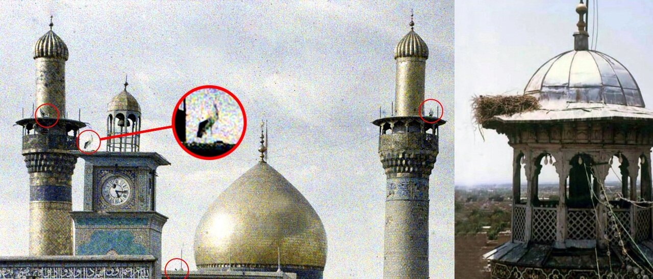 ماجرای قدیمی ترین عکس های رنگی از حرم امام حسین(ع) و حضرت عباس(ع)