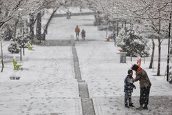 Snowfall in Hamedan