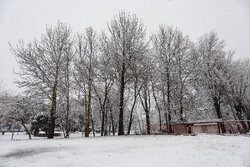بارش برف روستاهای تفت را سفیدپوش کرد