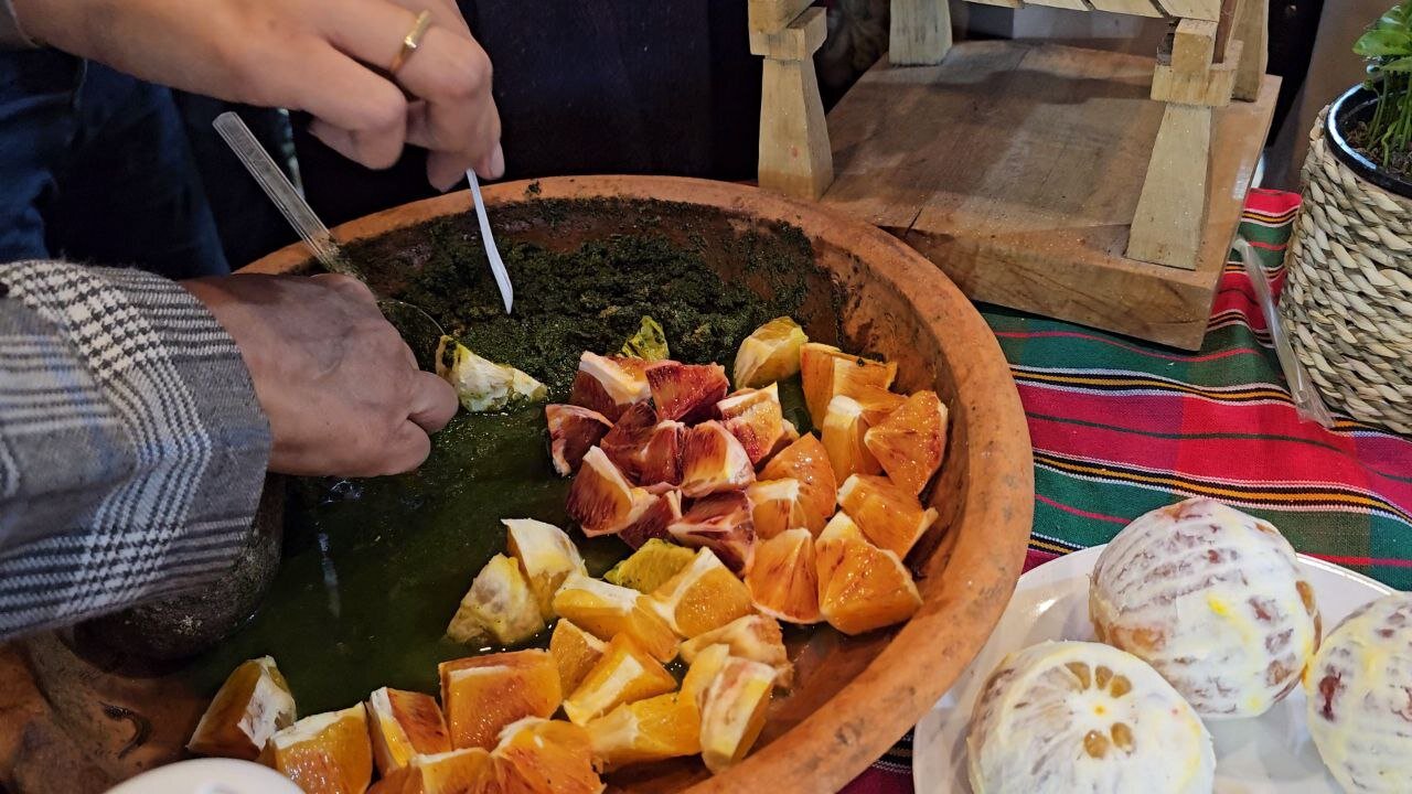 ابتکارجالب تنکابن در نمایشگاه گردشگری/تور غرفه گردی و کاشت نهال