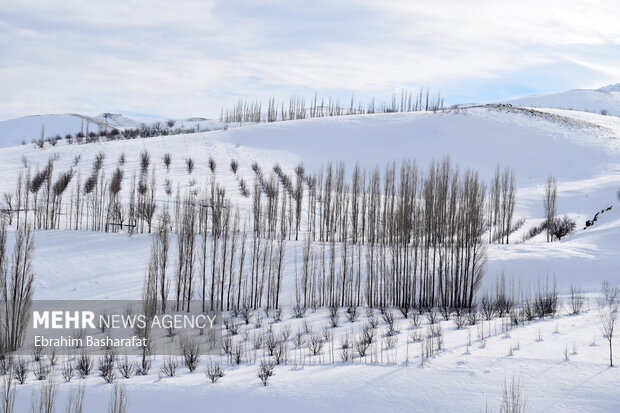 طبیعت برفی بخش کجور