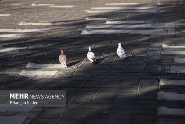 تخت فولاد"دومین آرامستان بزرگ جهان تشیع"