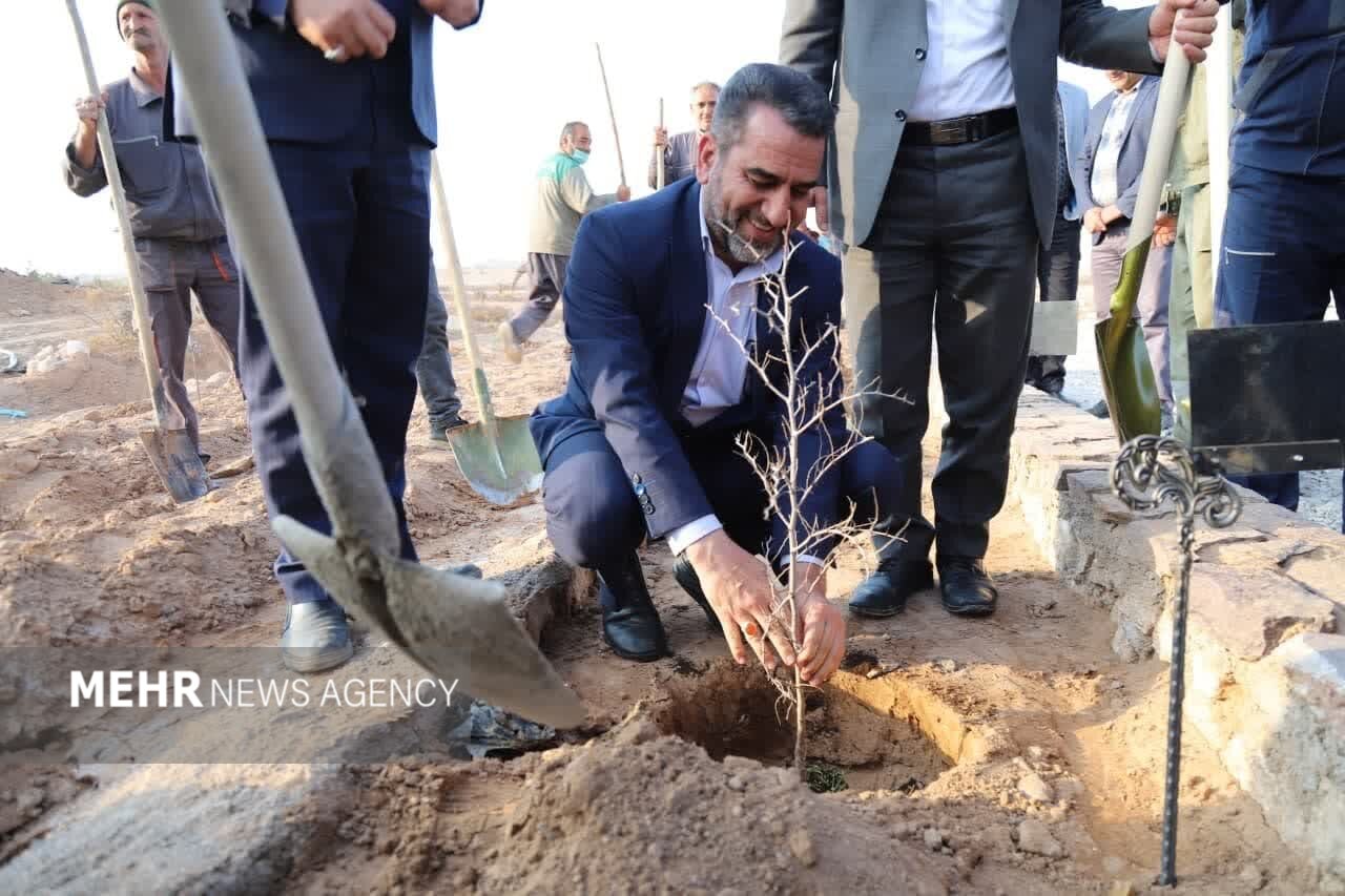 کاشت ۸۰۰ اصله نهال در پویش همکاشت در دانشگاه یزد