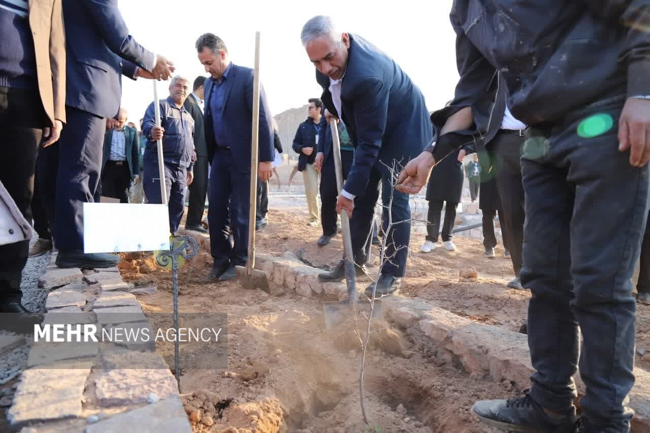 کاشت ۸۰۰ اصله نهال در پویش همکاشت در دانشگاه یزد