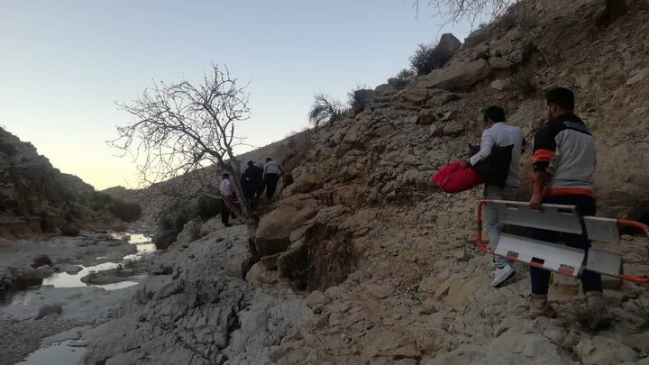  سقوط خودرو به دره در شهرستان دشتستان ۲ مصدوم بر جای گذاشت