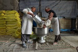 پذیرایی موکب ها از زایران نیمه شعبان جمکران