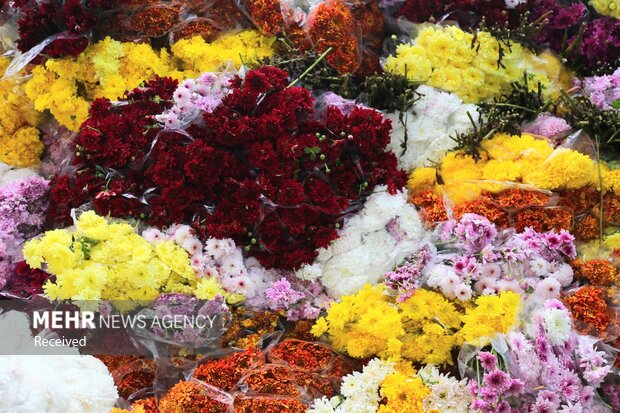 گل آرایی مسجد مقدس جمکران در آستانه نیمه شعبان