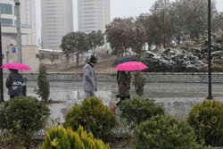 Snowy day in Tehran