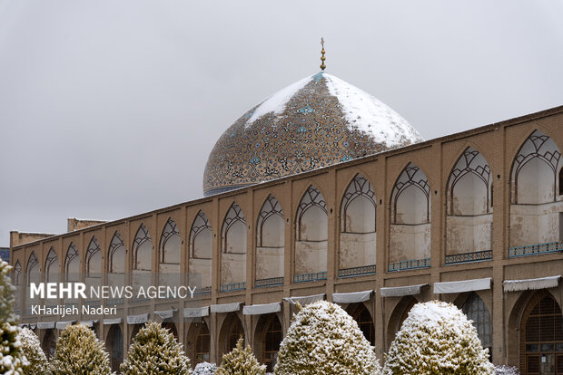 برف در نصف جهان