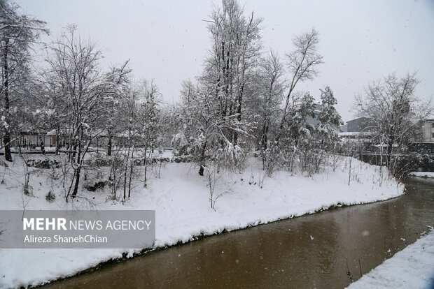 برف گردنه لاریخانی دیلمان را سفیدپوش کرد