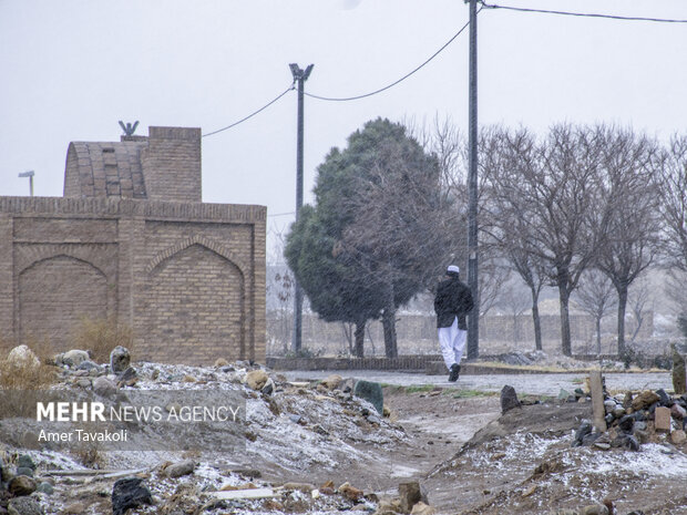 سفیدپوش شدن تایباد با برف و کولاک شدید