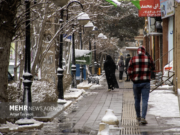 سفیدپوش شدن تایباد با برف و کولاک شدید