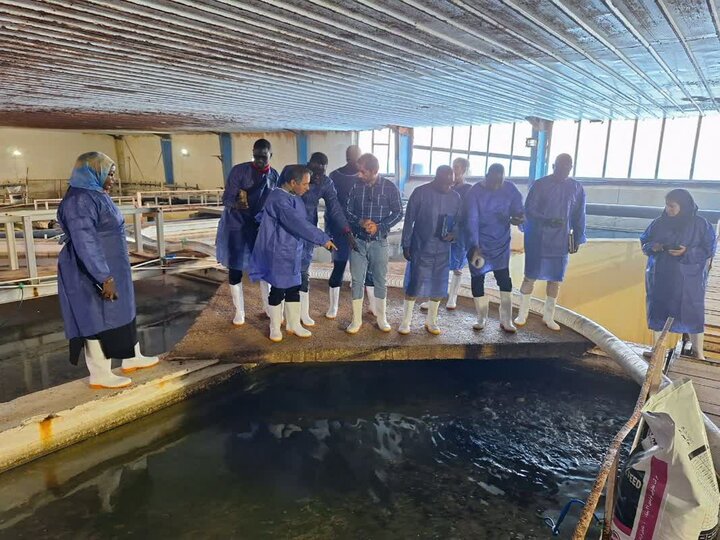 هیأت سنگالی به استان بوشهر سفر کرد هیأت سنگالی به استان بوشهر سفر کرد