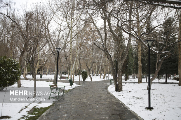 برف و سرما در مشهد