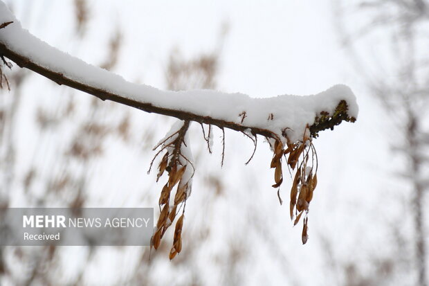 پیش بینی بارش برف در ارتفاعات استان قم