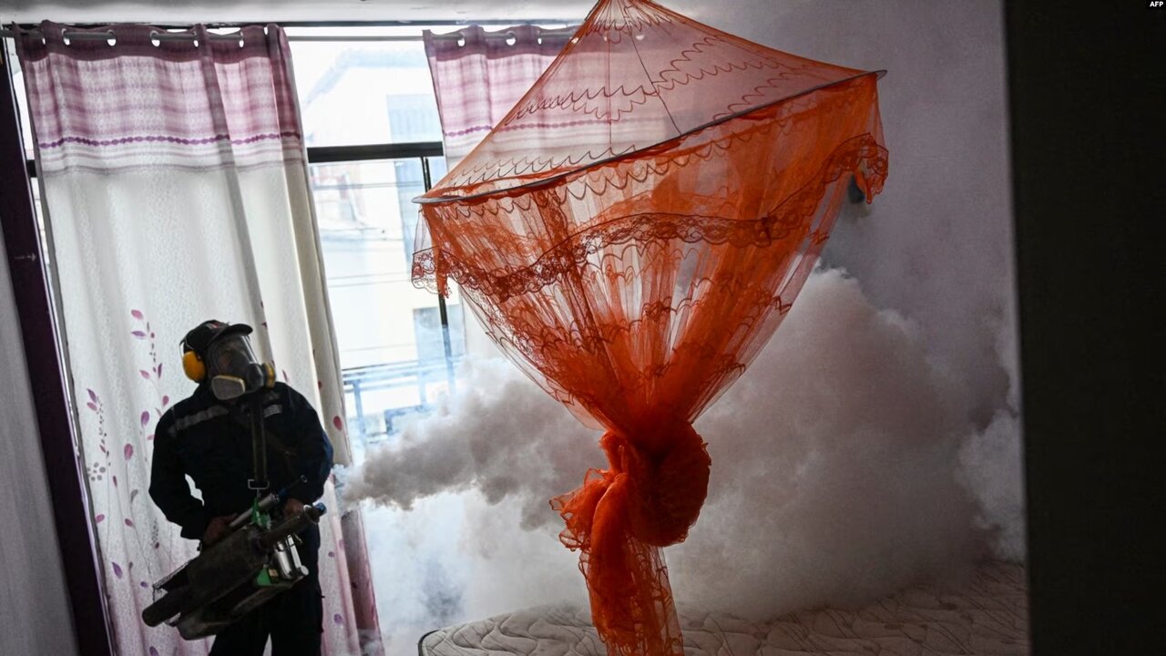 همه چیز در خصوص «تب دنگی»/موردی از این تب در ری مشاهده نشده است