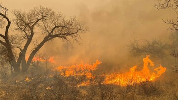 آتش‌سوزی در «سفیدکوه» خرم‌آباد اطفا شد