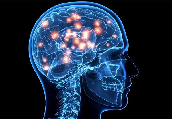 کشف جی پی اس در مغز انسان