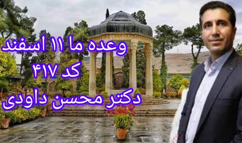 محسن داودی