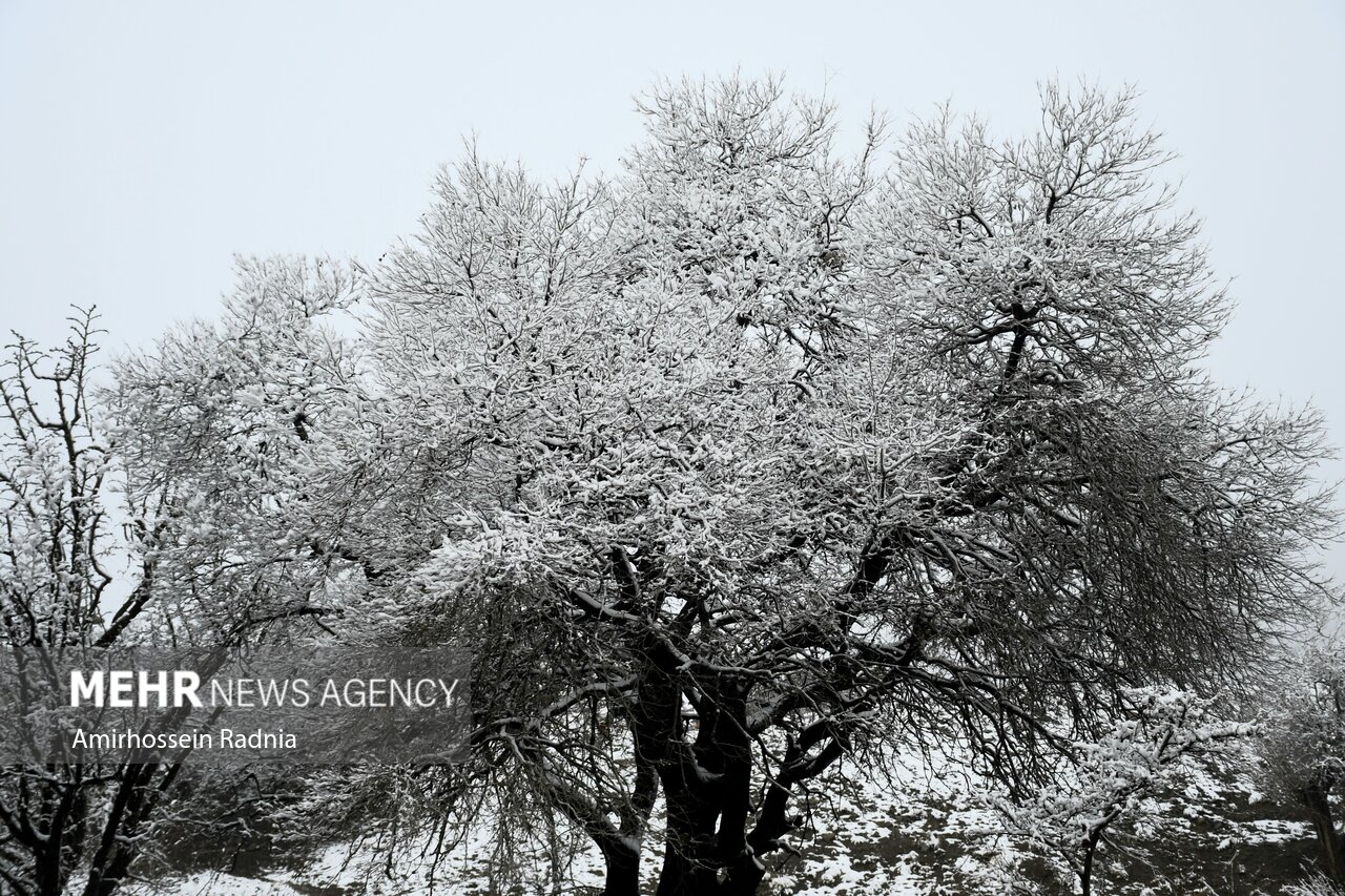 جلوه‌های زیبا از بارش برف در روستای برمکوه رودسر