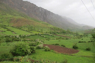مراتع استان تهران نقش مهمی در تولید علوفه و رونق دامپروری دارد