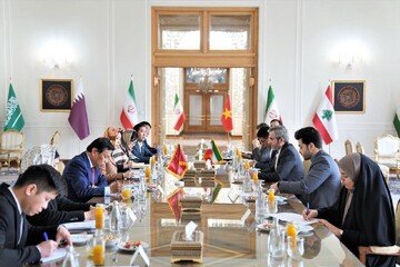 عقد الاجتماع التشاوري السياسي الثامن بين إيران وفيتنام في طهران