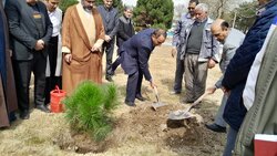 مدیران کل منابع طبیعی و مدیریت بحران اصفهان نهال غرس کردند