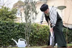 Leader attends tree-planting ceremony on Tuesday