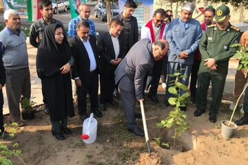 آئین روز درختکاری در شهرستان گناوه برگزار شد