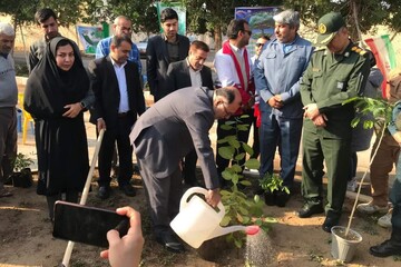 مراسم روز درختکاری در شهرستان گناوه