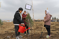 روز درختکاری - گرگان