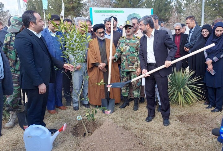 آماده شدن ۸۰۰ هزار اصله نهال برای کشت در سیستان و بلوچستان