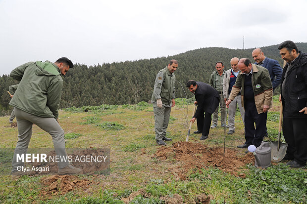 روز درختکاری . گرگان