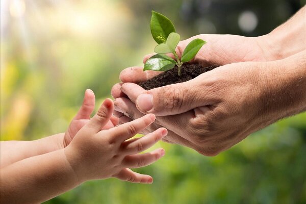 حفظ پوشش گیاهی مهم تر از کاشت درخت است