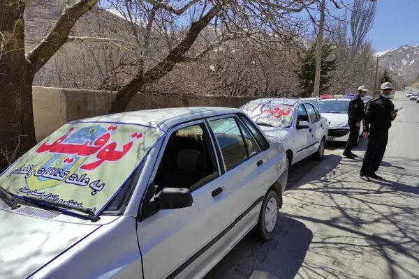 ۳۰ خودروی متخلف در طرح ارتقای امنیت اجتماعی در استان توقیف شدند