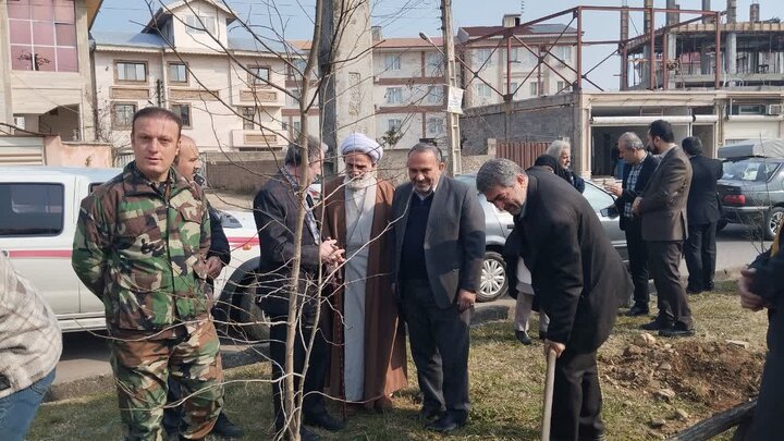 توزیع ۱۰ هزار اصله نهال رایگان در فومن